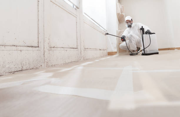 24/7 Emergency Mold Cleanup experts in Chapel Hill, TN
