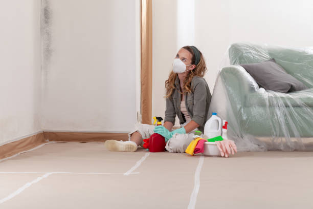 Reliable Mold Cleanup contractor in Chapel Hill, TN by Cheap Mold Removal